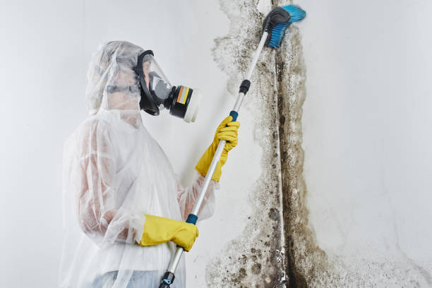 Best Mold Cleaning Services  in Troutdale, OR