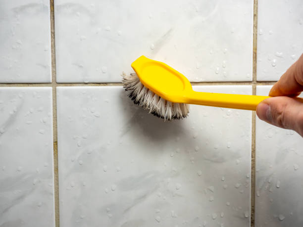 Best Professional Mold Removal  in Troutdale, OR