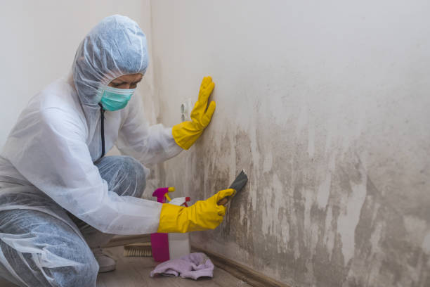 Best Crawl Space Mold Removal  in Troutdale, OR
