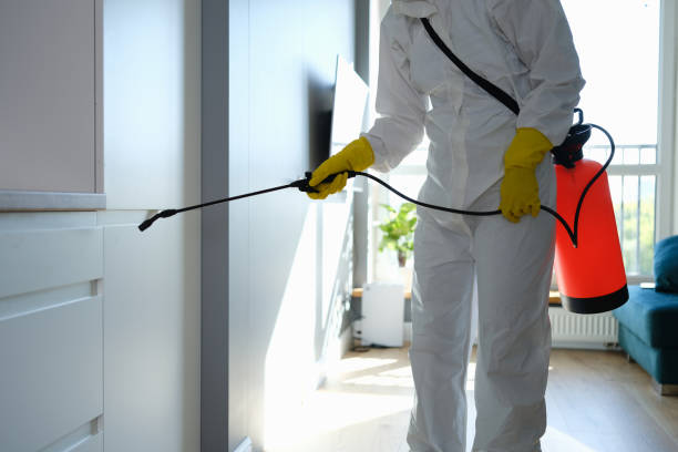 Best Best Mold Removal Companies  in Troutdale, OR