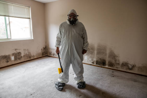 Trusted Troutdale, OR Mold Removal Experts